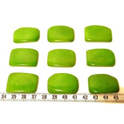 Tagua plaque vert