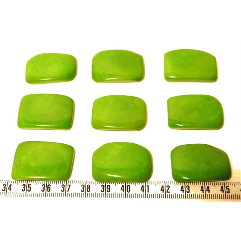 Tagua plaque vert x1