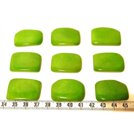 Tagua plaque vert x1