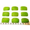 Tagua plaque vert x1