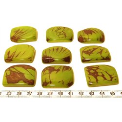 Tagua plaque  marbrée vert