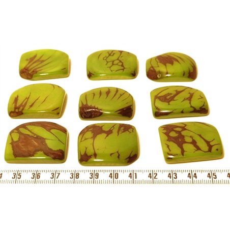Tagua plaque marbrée vert x1
