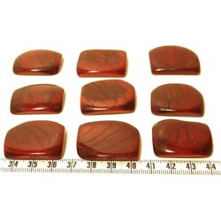 Tagua plaque  marbrée marron