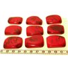 Tagua plaque  marbrée rouge