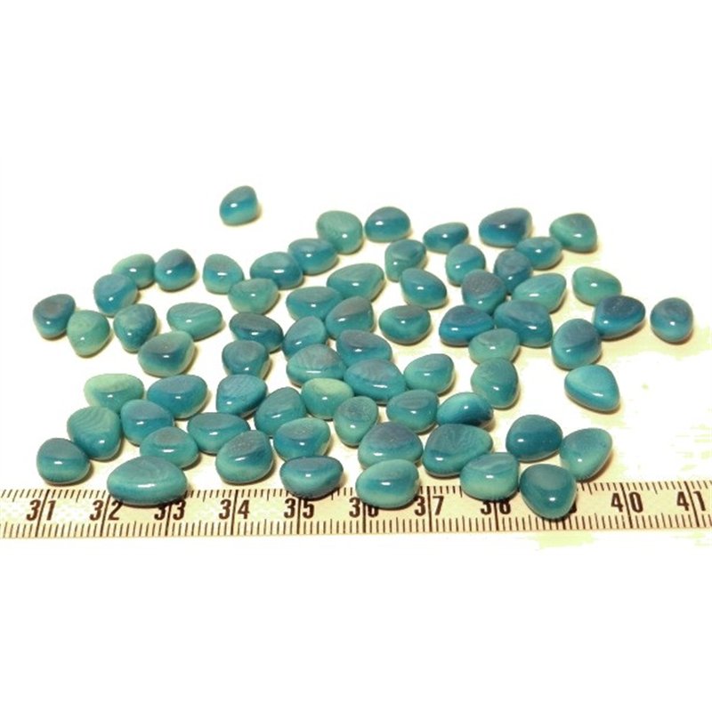 Tagua rocaille bleu x1