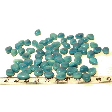 Tagua rocaille bleu x1