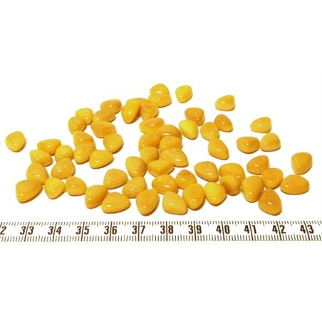Tagua rocaille jaune x1