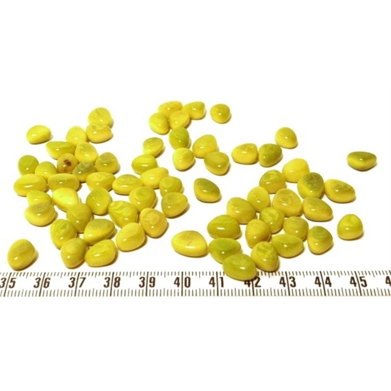 Tagua rocaille  vert