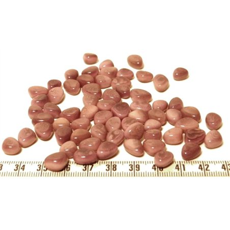 Tagua rocaille  violet