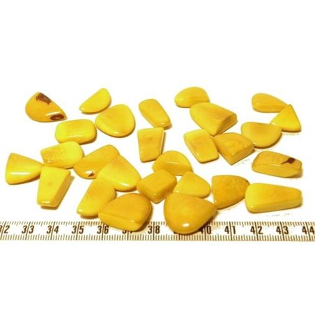 Tagua éclat jaune