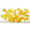 Tagua éclat jaune