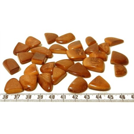 Tagua éclat marron