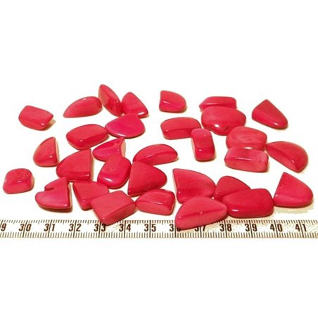 Tagua rocaille grand rose x1