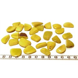 Tagua éclat vert