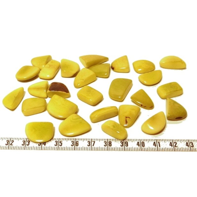 Tagua éclat vert