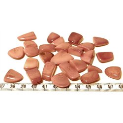 Tagua éclat violet
