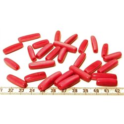 Tagua tube rose