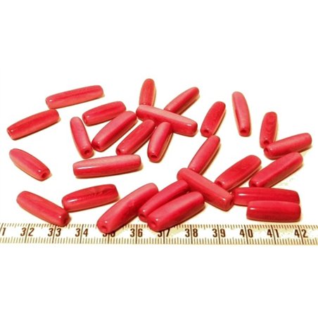 Tagua tube rose