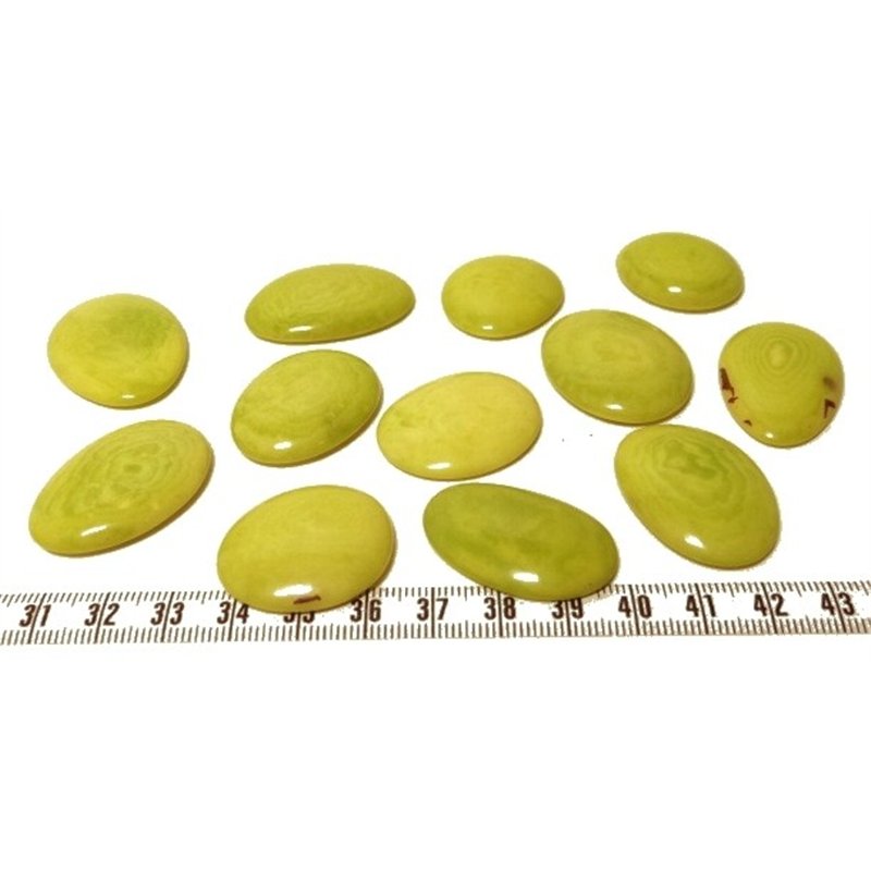 Tagua lame  marbrée   petite vert