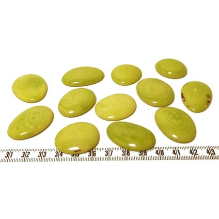 Tagua lame  marbrée   petite vert