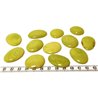 Tagua lame  marbrée   petite vert
