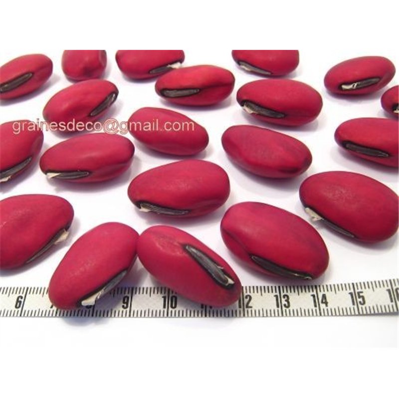 Gogan rouge