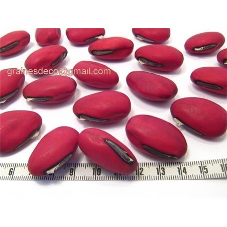 Gogan rouge