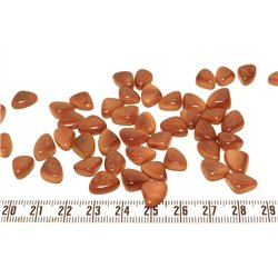 Tagua rocaille  marron