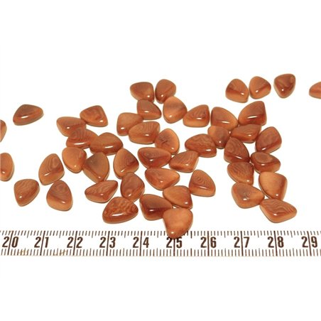 Tagua rocaille  marron