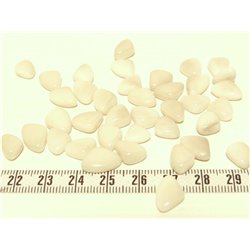 Tagua rocaille  blanc