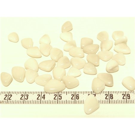 Tagua rocaille  blanc