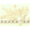 Tagua rocaille  blanc