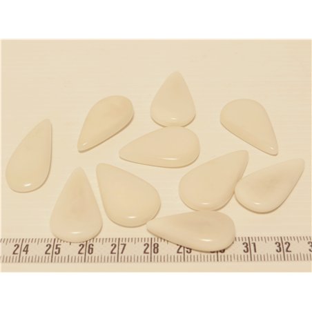 Tagua goutte blanc