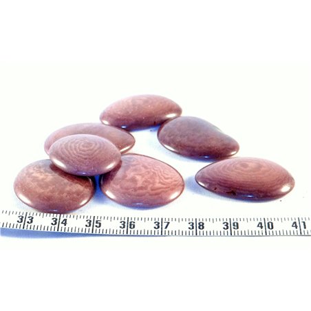 Tagua lame  marbrée   petite violet
