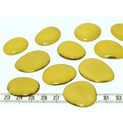 Tagua lame   moyenne jaune