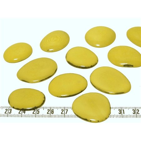 Tagua lame   moyenne jaune