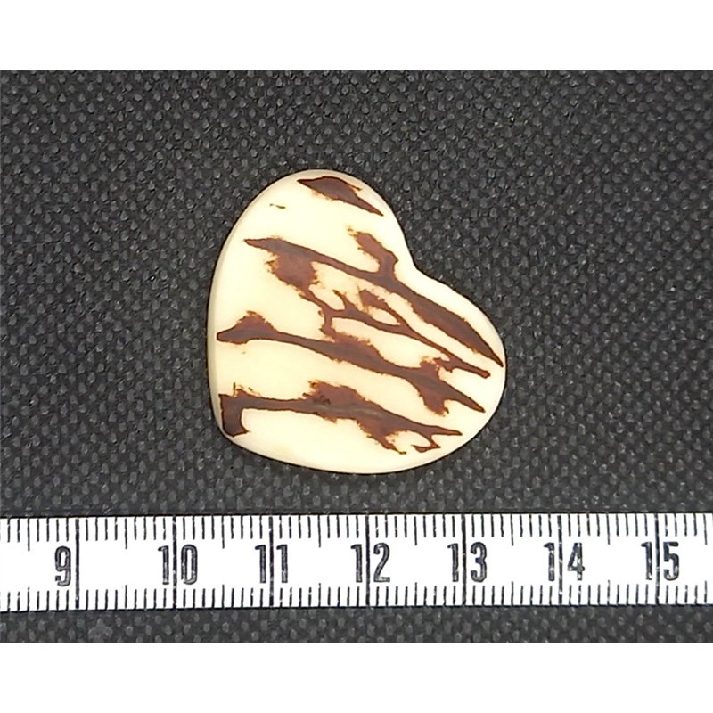 Tagua coeur marbré blanc