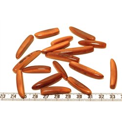 Tagua frite marron