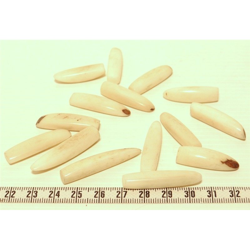 Tagua frite blanc