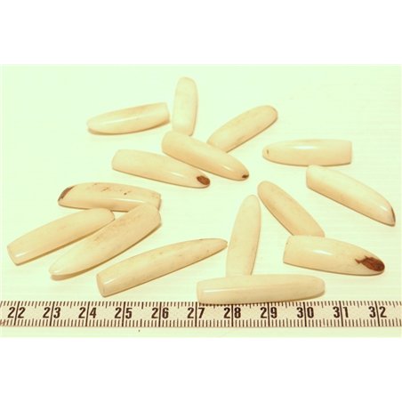 Tagua frite blanc