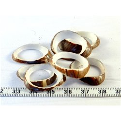 Tagua donut  petit blanc