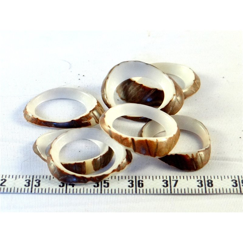 Tagua donut  petit blanc