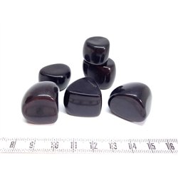 Tagua tronçon noir