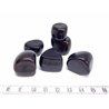 Tagua tronçon noir