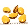 Tagua graine bombée jaune