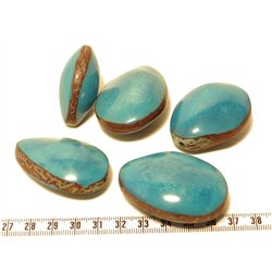 Tagua graine bombée bleu