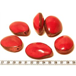 Tagua graine bombée rouge