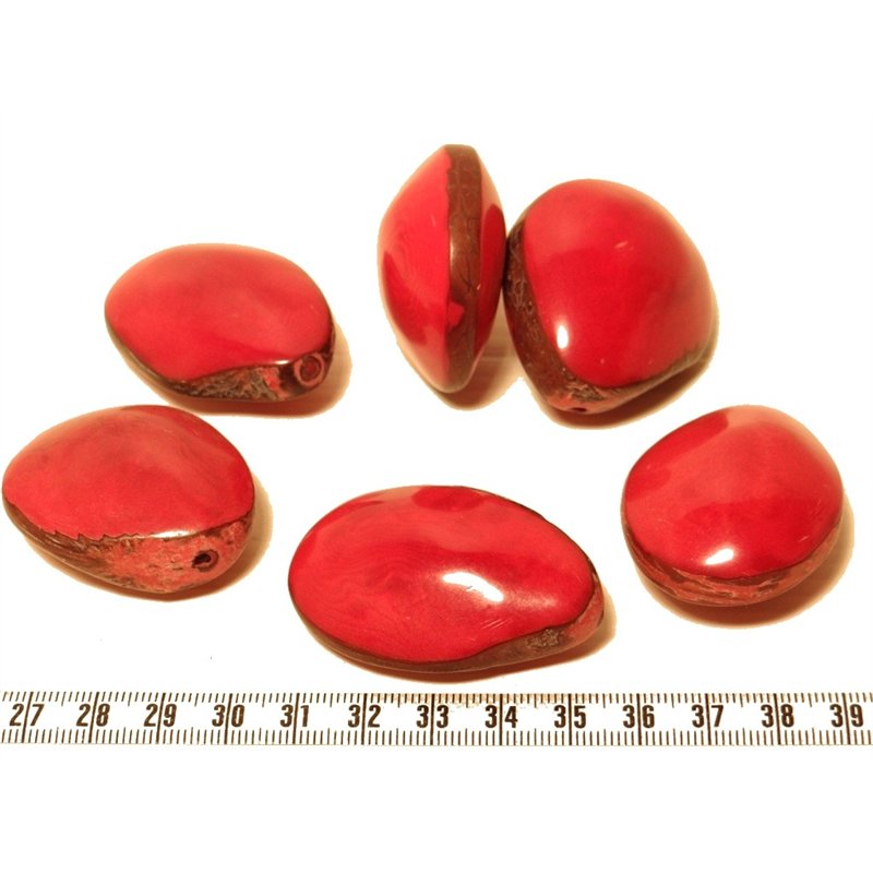 Tagua graine bombée rouge x1