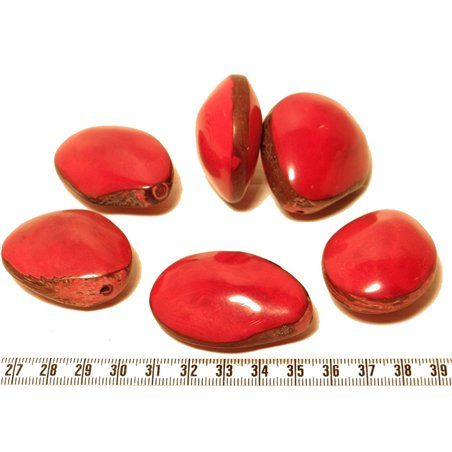 Tagua graine bombée rouge x1