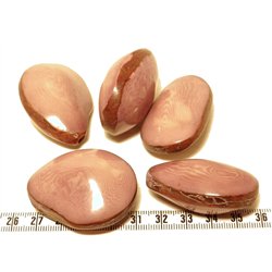 Tagua graine bombée violet x1